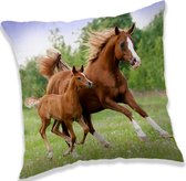 Animal Pictures Bruine Paarden - Kussen - 40 x 40 cm - Multi