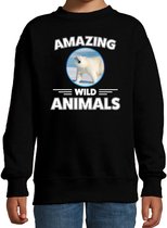 Sweater ijsbeer - zwart - kinderen - amazing wild animals - cadeau trui ijsbeer / ijsberen liefhebber 12-13 jaar (152/164)