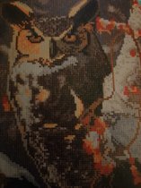 Diamond painting- uil /30x40 cm