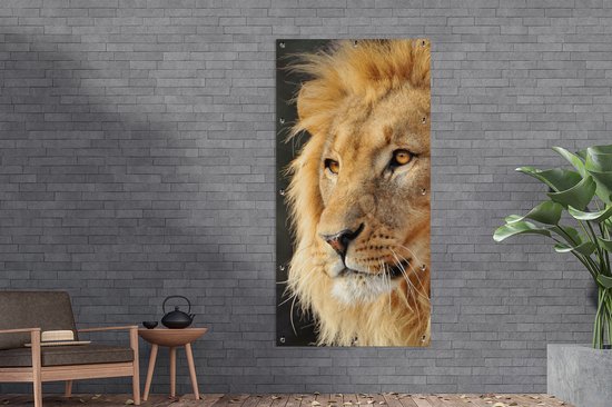 Affiche de clôture Lion - Profil - Chasse - 100x200 cm - Toile de jardin