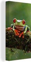 Peinture sur toile Grenouille aux yeux rouges sur une branche couverte - 40x80 cm - Décoration murale