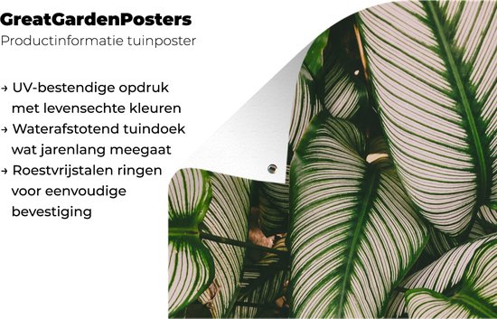 Poster de jardin Feuilles - Plante - Vert - 40x80 cm