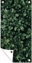 Tuinposter Bladeren - Planten - Natuur - 30x60 cm - Tuindoek - Buitenposter