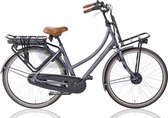 Villette le Costaud transport e-bike, D49, N7, grey