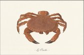 Walljar - Le Crabe - Dieren poster met lijst