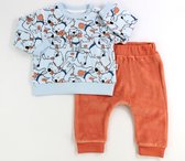 Baby kledingset Welsoft 2 delig joggingpak: sweater en joggingbroek 100% katoen, antibacterieel