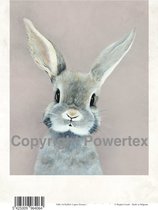 A4 Powerprint paper Rabbit