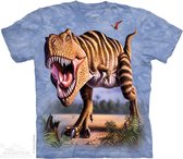 KIDS T-shirt Striped Rex L