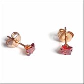 Aramat jewels ® - Zweerknopjes vierkant zirkonia rosékleurig rood staal 4mm