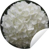 Tuincirkel Witte hortensia - 120x120 cm - Ronde Tuinposter - Buiten XXL / Groot formaat!