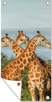 Tuinposter Giraffen - Lucht - Dieren - 40x80 cm - Wanddecoratie Buiten - Tuinposter - Tuindoek - Schuttingposter - Tuinschilderij