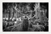 JUNIQE - Poster met houten lijst The Stag -13x18 /Kleurrijk