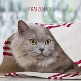 Katzen 2022 30x30
