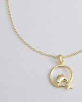 2bs jewelry dolfijn, 925 zilveren dames ketting, 14k gold plated, handmade, ketting met hanger