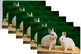 Placemats | Set van 6 stuks | Twee konijntjes | Onderhoudsvriendelijk