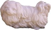 tuinbeeld hond Pekinees Wit/gepattineerd) -Hoogwaardige kwaliteit -perfect voor binnen en buiten