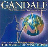 Gandalf-The Wizard From T