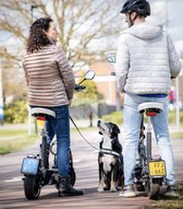 Trendiamo Endurance Elektrische step inclusief Kenteken