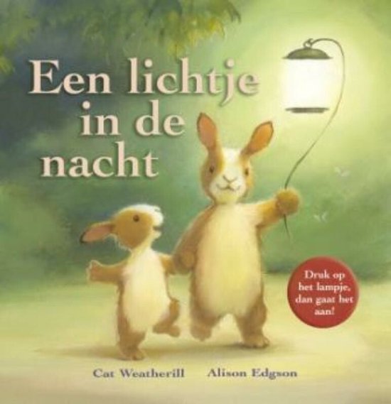 Cover van het boek 'Een lichtje in de nacht'