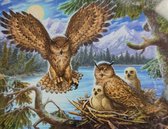 5 d Diamond painting 40x50 cm - Uilen