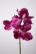 Kunstbloem - set van 2 - vanda orchidee - decoratieve tak -  31 cm - Fuchsia cerise