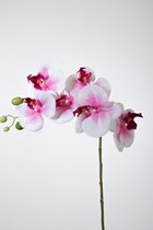 Kunstbloem - set van 2  - Butterfly orchidee - decoratieve tak -  68 cm - roze
