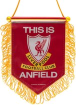 Liverpool wimpel 15 x 10 cm This Is Anfield