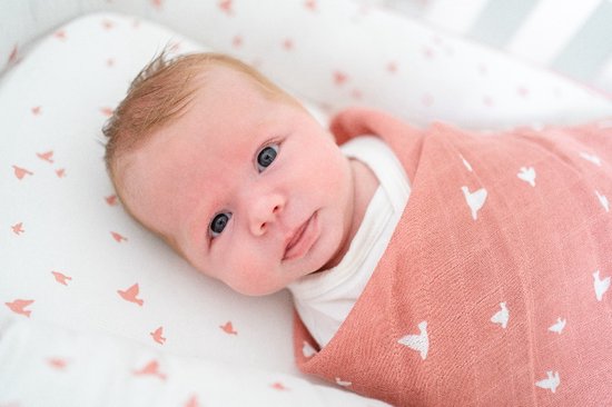 Briljant Baby Hydrofiel Multidoek XL Birds - Swaddle - Inbakerdoek - 120x120 - Ash Rose - 2 Stuks - Organic van Briljant — afbeelding 5