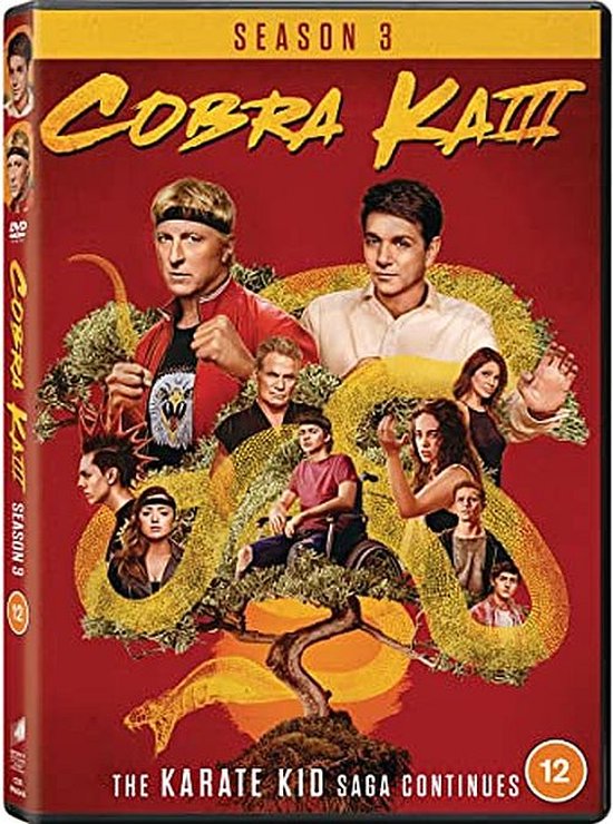 Cobra Kai - Season 3 (DVD)