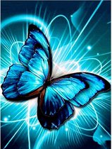 Diamond painting - De Vlinder - insect - Diamond schilderen - Volwassen - Kinderen - vlinder - Natuur - 20x30 cm