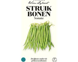 Struikbonen 'Sonate' - De Fijnste onder de Prinsessenbonen - Zaaigoed Wim Lybaert