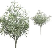 Twig Plant groene podocarpus bos