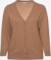 EVIVA - Gebreide vest met v-hals - bruin