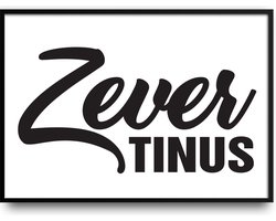 ZeverTinus fotolijst met glas 40 x 50 cm - grappig - Martijn - Tinus - Praat veel - Praatjesmaker - zeverzak - Prachtige kwaliteit - kado - inclusief ophangsysteem
