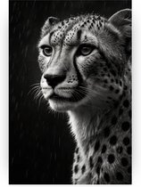 Cheeta in de regen poster - Natuur posters - Poster jachtluipaard - Vintage posters - Slaapkamer poster - Decoratie muur - 60 x 90 cm