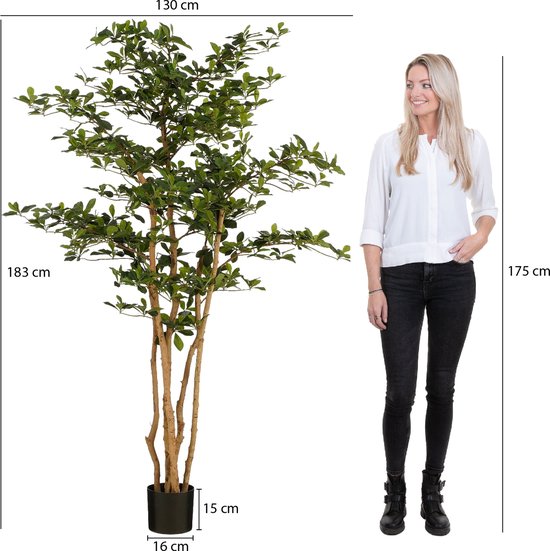 Mica Decorations Plante Artificielle Olijfboom en Pot - H183 x Ø130 cm - Vert