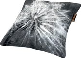 Mondiart Sierkussen Dandelion Explosion | CUS252 | 50 x 50 cm | Rits-sluiting | Stylist Choice