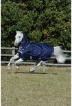 Wit paard met donkerblauwe Bucas deken met capuchon en zilveren randen.