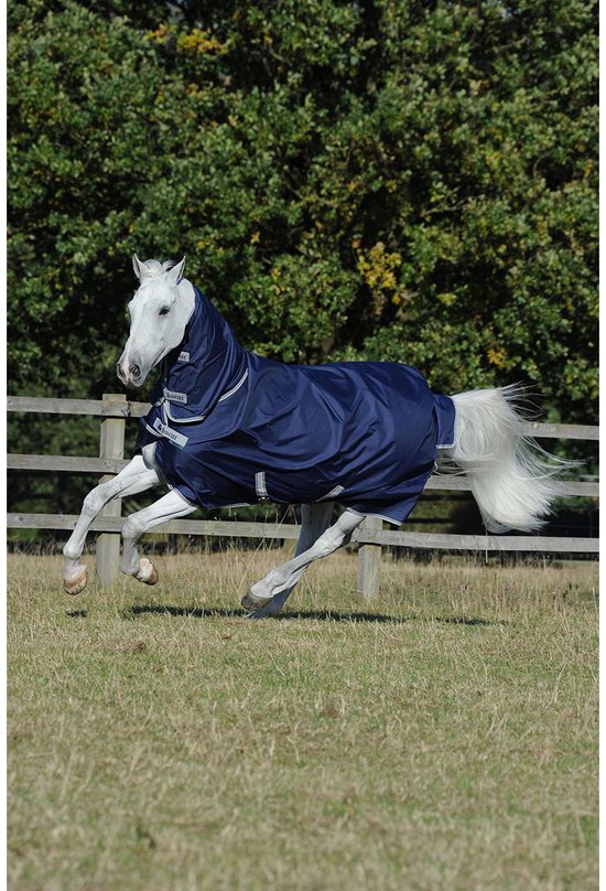 Wit paard met donkerblauwe Bucas deken met capuchon en zilveren randen.