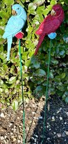 Decoratieve tuinstekers "papegaaien" - Set van 2 stuks - polyresin papegaaien en metalen stekers - blauw en rood - hoogte 50 x 16 x 7 cm - Tuinaccessoires - Tuindecoratie – Tuinstekers