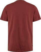 PME-Legend-T-shirt--8256 Spiced App-Maat XXL