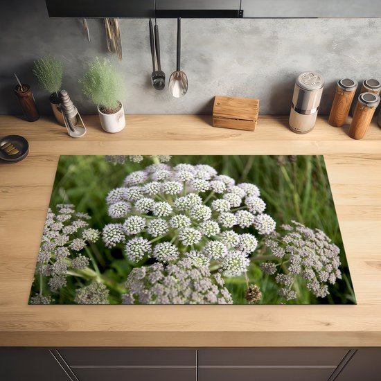 KitchenYeah® Inductie beschermer 81.6x52.7 cm - Natuurlijk habitat van de witte en groene anijs plant - Kookplaataccessoires - Afdekplaat voor kookplaat - Inductiebeschermer - Inductiemat - Inductieplaat mat