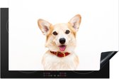 KitchenYeah® Inductie beschermer 80.2x52.2 cm - Corgi met halsband op witte achtergrond - Kookplaataccessoires - Afdekplaat voor kookplaat - Inductiebeschermer - Inductiemat - Inductieplaat mat
