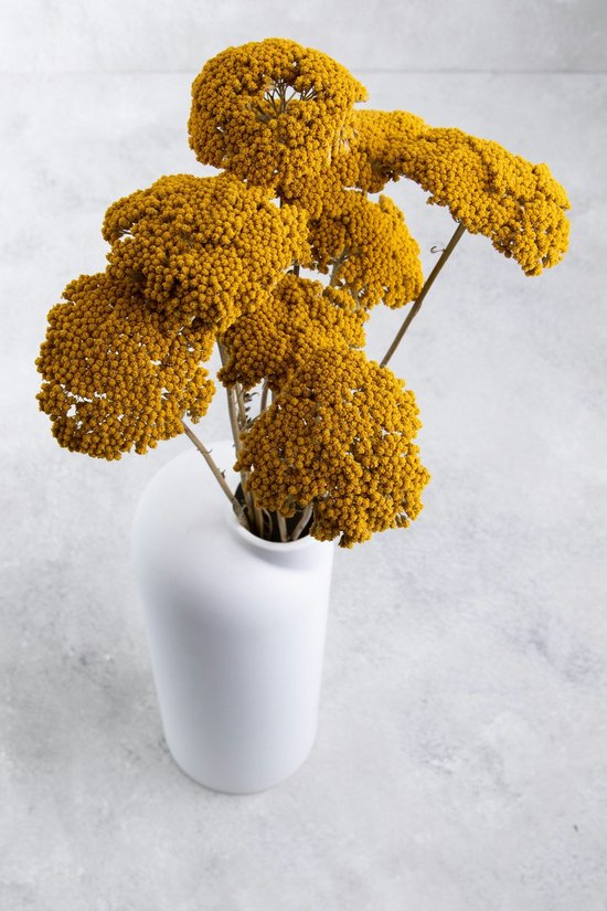 Gedroogde Eetbare bloemen, Goudsbloem – Floral Delight