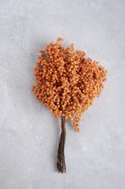 Couronne - Decoratiemateriaal 'Pepperberry' (200gr, Orange)