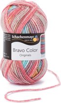 Schachenmayr Bravo Color 50 Gram - 2120