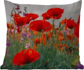 Coussin d'extérieur résistant aux intempéries - Coquelicot - Fleurs - Rouge - Violet - Prairie - 50x50 cm