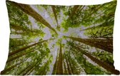 Buitenkussens - Tuin - Hoge groene bomen in jungle - 50x30 cm