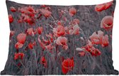 Buitenkussens - Tuin - Rode Klaprozen in een zwart wit afbeelding - 50x30 cm