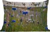 Coussins d'extérieur - Jardin - Fleurs - Eté - Bleuet - Blauw - Soleil - Nuages ​​- 50x30 cm